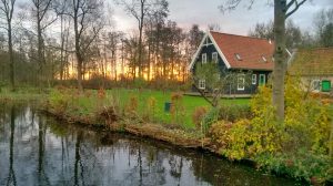 Polders Rotterdam