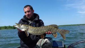 Brochet au lac de Madine